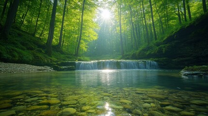 Tranquil forest stream cascading into a clear pool. Sunlight filters through the lush green canopy