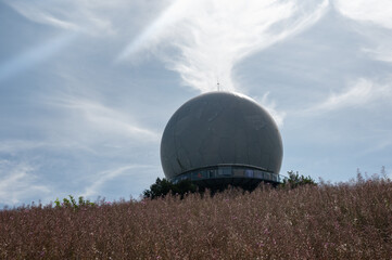 Radar dome on the Wasserkuppe with tall plants in the foreground