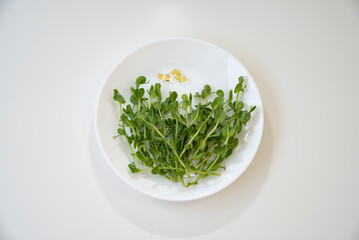 Fototapeta premium Peas sprouted and tablets on a plate. Healthy food