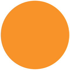Orange Circle
