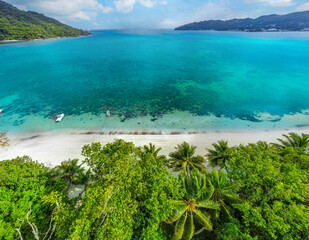 Fototapeta premium Aerial view of a tropical beach with turquoise water and palm trees