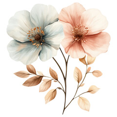 Beautiful flowers isolated on transparency background create serene and elegant atmosphere perfect for any design project
