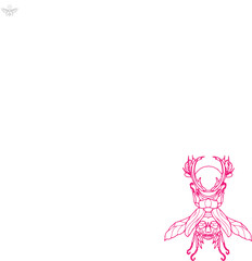 Colorful set of various insect in silhouette, with insect name. easy to modify eps illustrations