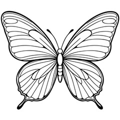 Vector Illustration of a Butterfly with Symmetrical Wings, Antennae, and Decorative Patterns