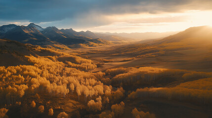 A stunning aerial view of a valley covered in golden autumn leaves