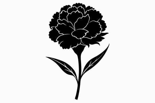 black carnation flower silhouette on white background clip art preview