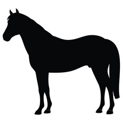 horse silhouette vector