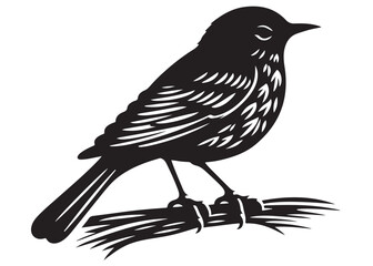silhouette of a bird logo vector design, flying bird logo icon silhouette, feather with bird logo design black animal, silhouette of a black flying bird on white background