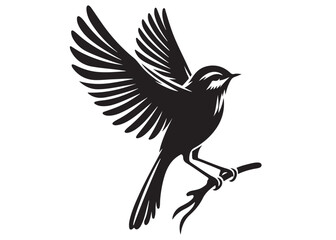 silhouette of a bird logo vector design, flying bird logo icon silhouette, feather with bird logo design black animal, silhouette of a black flying bird on white background