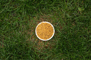 A circular dish filled with fermented bee bread rests on a bed of green grass. This mixture of pollen showcases the intricate work of bees