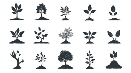Various tree and plant silhouettes; growth stages; white background; educational use