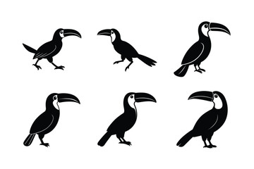 Fototapeta premium Toucan silhouette vector Bundle illustration