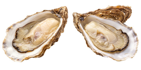 Naklejka premium Two Open Oysters Isolated on Transparent Background, Seafood, Food Photography, Oysters, Shellfish, Food