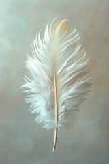 A Single Delicate Feather, Floating in Mid-Air Against a Soft Neutral Background