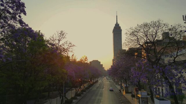 Centro hist&oacute;rico de la Ciudad de M&eacute;xico, amanecer en primavera con jacarandas