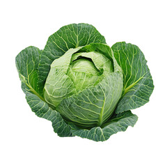 Fresh Green Cabbage Vegetable. (2)