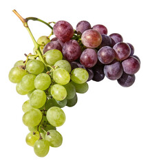 Fototapeta premium Bunch of grapes with a shadow isolated on transparent background 