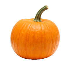 Obraz premium Vibrant orange pumpkin with glossy skin and lush green stem Ideal for fall and harvest themed designs