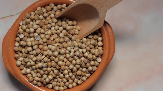 bol cilantro especia condimento cocina