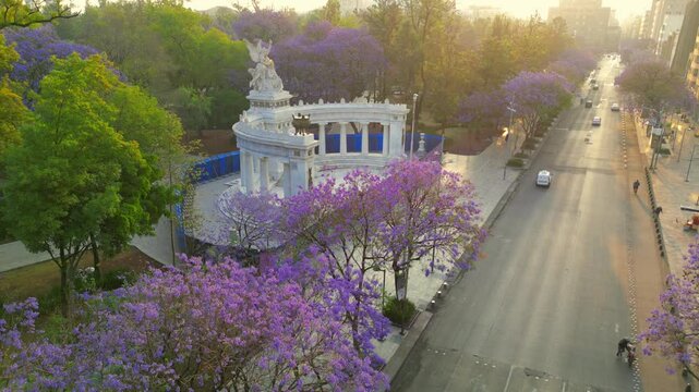 Hemiciclo a juarez, landmark at alameda central in Mexico city, spring with pruple flower tree