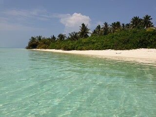 Tranquil Turquoise Waters Lapping a Palm-Fringed Maldives Shore