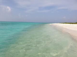 A Pristine Maldives Beach: Where Crystal Waters Meet Tropical Foliage