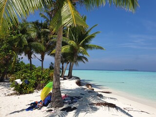 Tropical Palm Trees on a White Sandy Beach, Maldives


