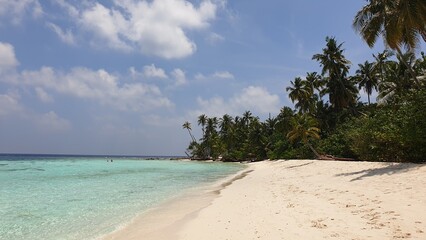 A Tropical Paradise: Turquoise Waters Framed by Palm Trees on a Sandy Beach