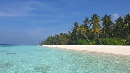 A Tropical Paradise: Turquoise Waters Framed by Palm Trees on a Sandy Beach