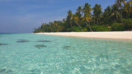 Tropical Beach With Clear Water and blue Sky, Maldives
