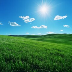 Fototapeta premium The sun illuminates rolling green hills and a deep blue sky filled with fluffy clouds, creating a tranquil outdoor atmosphere Generative AI