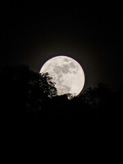 luna llena blanca con sombra de arbol © Didier