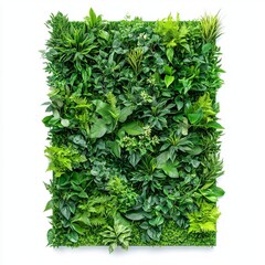 Naklejka premium Vertical garden wall panel with lush green plants arranged in a modern pattern isolated on a white background 