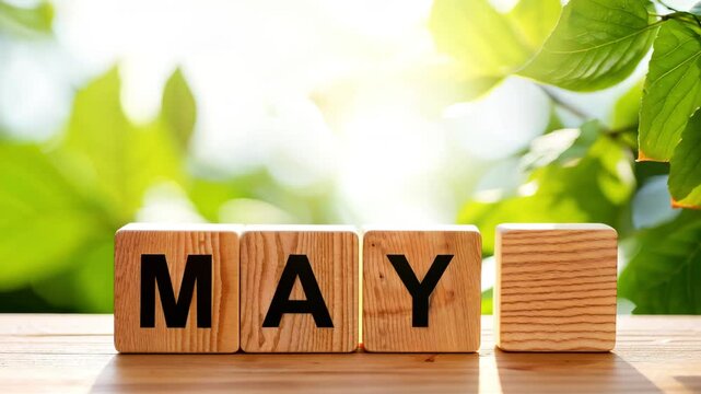 Spring background with the text "May" on wooden blocks. Spring leaves and sunlight shining. Hello may text the table with sunny green park background.