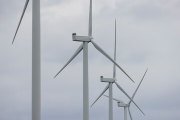 Fototapeta premium wind turbines in the field