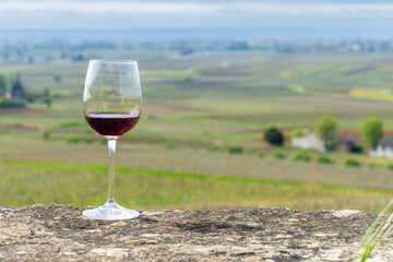 Glass of pinot noir red wine in early spring vineyards near Aloxe-Corton, Burgundy, France