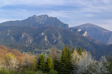 Spring landscape in Mala Fatra National Park with Velky Rozsutec peak, Slovakia