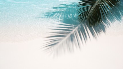 Palm Shadow on Turquoise Water, Minimalist Beach Composition, Summer Vacation Concept, Tropical, Serenity Tropical, Summer