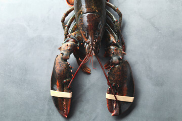 One raw lobster on grey textured table, top view
