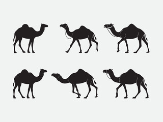 Camels in Silhouette