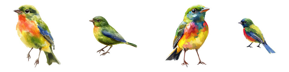 Set of painted bunting bird isolated on transparent background