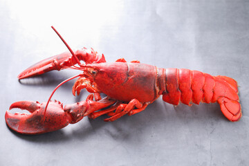 Delicious boiled lobster on grey table, closeup