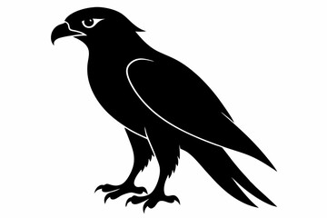 tailed hawk black silhouette vector