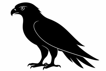 tailed hawk black silhouette vector