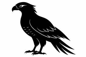 Fototapeta premium tailed hawk black silhouette vector