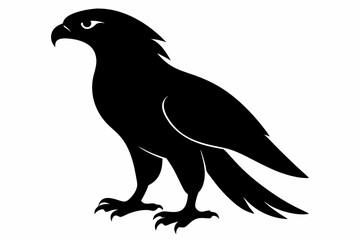 Fototapeta premium tailed hawk black silhouette vector