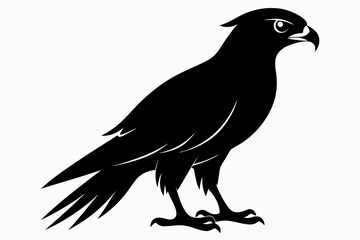 tailed hawk black silhouette vector