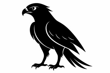Obraz premium tailed hawk black silhouette vector