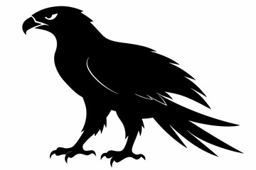 Obraz premium tailed hawk black silhouette vector