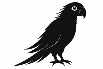 Fototapeta premium parrot silhouette black silhouette vector